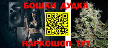бошки Ставрополь