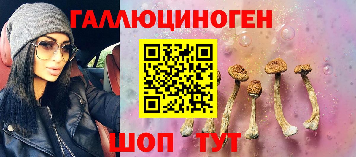 Новозыбков  Галлюциногенные грибы Cubensis  Вход с VPN 